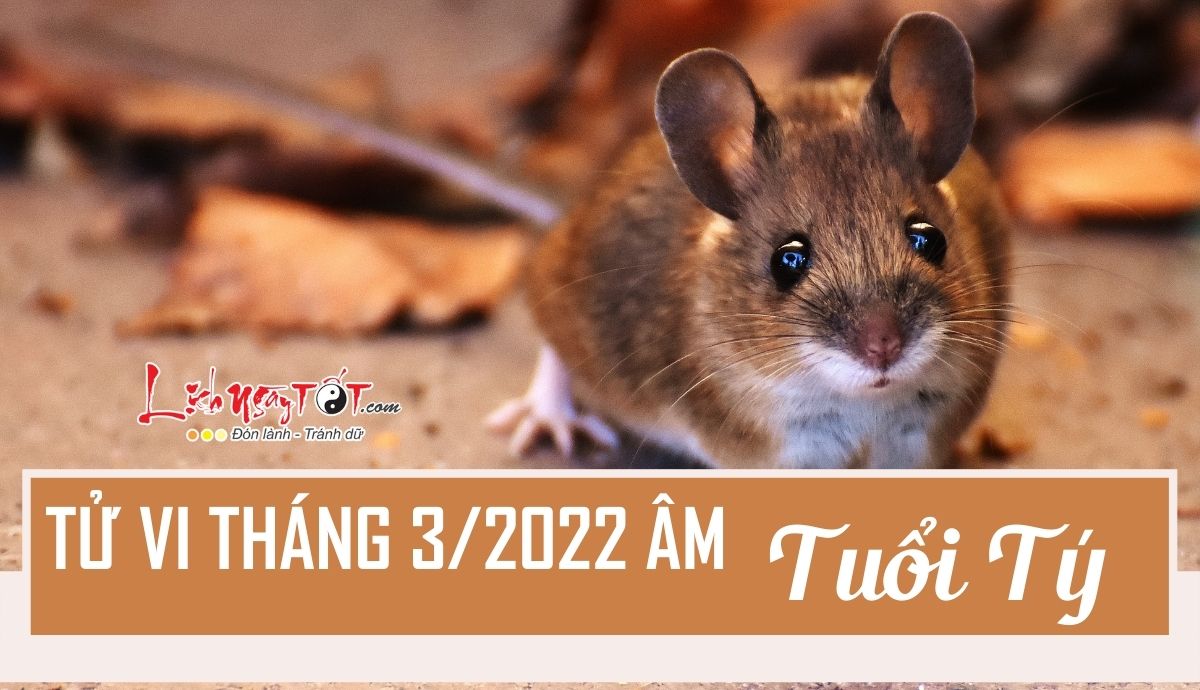 Tu vi thang 3/2022 tuoi Ty am lich