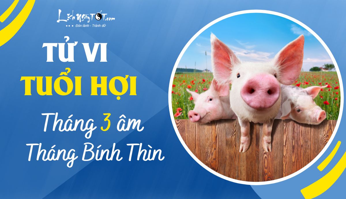 Tử vi tháng 3/2023 tuổi Hợi âm lịch Tu vi thang 3/2023 tuoi Hoi am lich