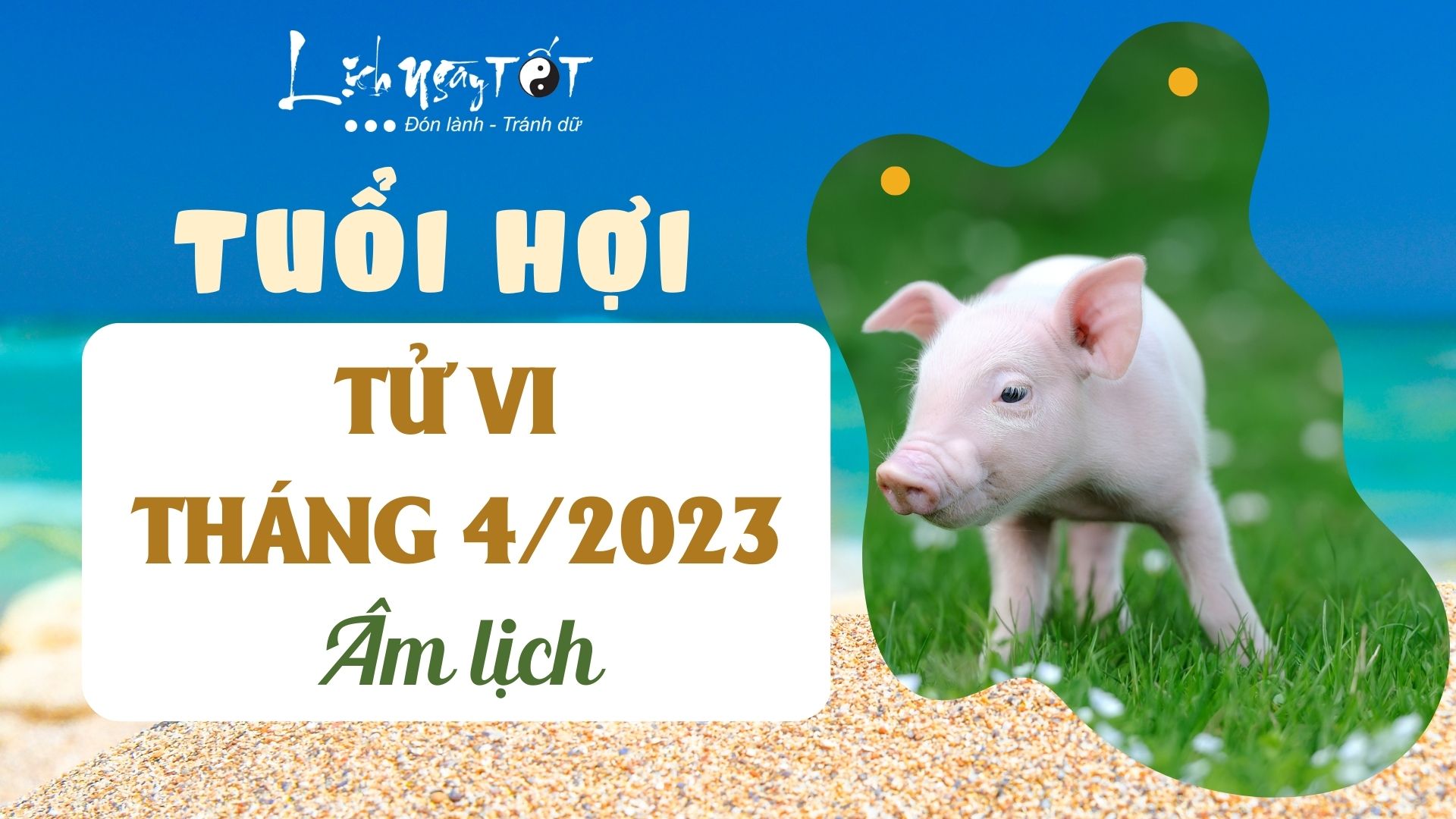 Tử vi tháng 4/2023 tuổi Hợi âm lịch Tu vi thang 4/2023 tuoi Hoi am lich