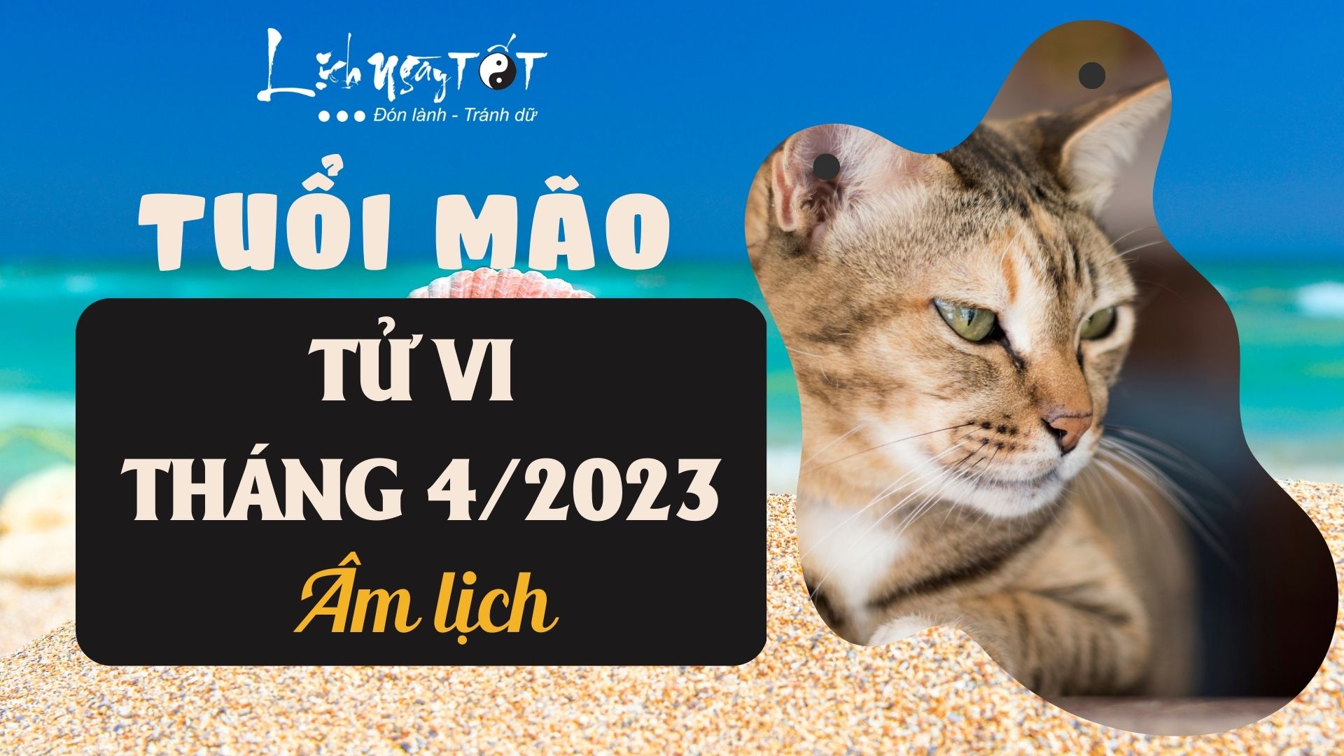 Tử vi tháng 4/2023 tuổi Mão âm lịch Tu vi thang 4/2023 tuoi Mao am lich