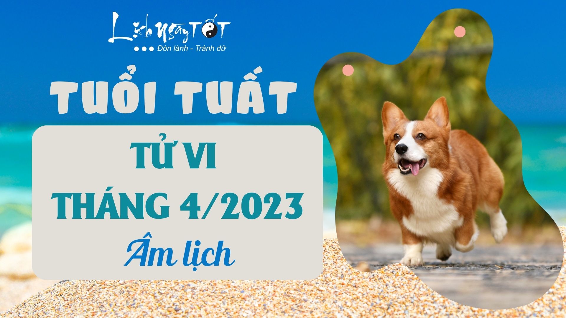 Tử vi tháng 4/2023 tuổi Tuất âm lịch Tu vi thang 4/2023 tuoi Tuat am lich