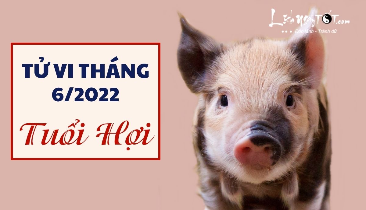 Tử vi tháng 6/2022 tuổi Hợi âm lịch Tu vi thang 6/2022 tuoi Hoi am lich