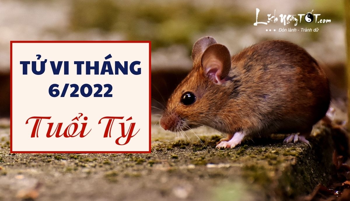 Tử vi tháng 6/2022 tuổi Tý âm lịch Tu vi thang 6/2022 tuoi Ty am lich