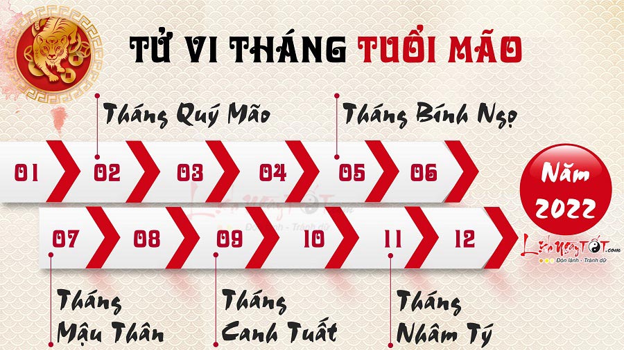 Tử vi 12 tháng tuổi Mão năm 2022 Tu vi 12 thang tuoi Mao nam 2022