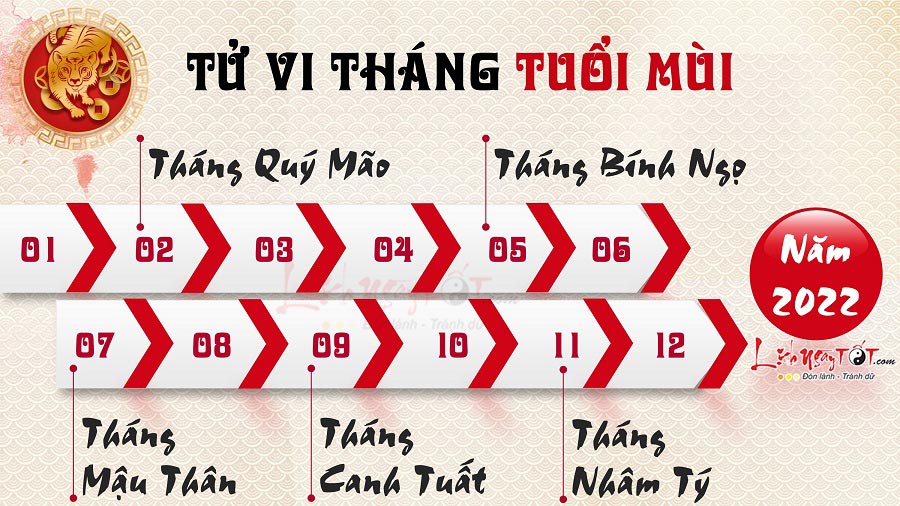 Tu vi 12 thang nam 2022 cho tuoi Mui