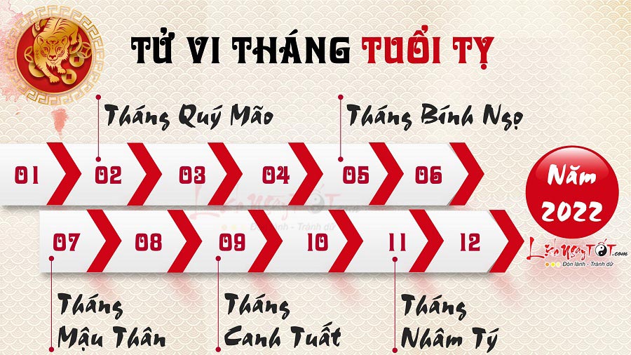 Tử vi hàng tháng năm 2022 của tuổi Tỵ Tu vi hang thang nam 2022 cua tuoi Ty