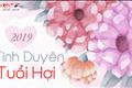 tu-vi-tinh-duyen-tuoi-hoi-2019-yeu-duong-khong-toi-dich-hanh-phuc-bi-de-doa
