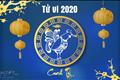 tu-vi-tuoi-dau-nam-canh-ty-2020-boc-dong-thai-qua-tu-minh-gay-hoa-1