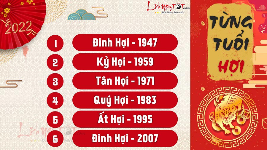 Tu vi tuoi Hoi nam 2022 theo nam sinh