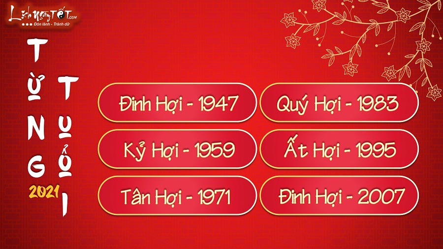 Tu vi tuoi Hoi nam 2021 chi tiet Tu vi tuoi Hoi nam 2021 chi tiet