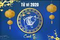 tu-vi-tuoi-hoi-nam-canh-ty-2020-tinh-tien-bat-on-ton-thuong-chuc-cho-2