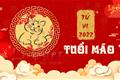 Tử vi tuổi Mão 2022, tử vi năm 2022 tuổi Mão Tu vi tuoi Mao 2022, tu vi nam 2022 tuoi Mao