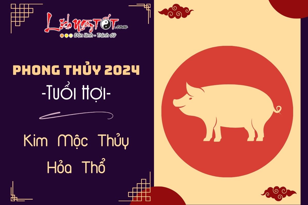 Tuoi Hoi 2024 theo ngu hanh