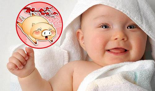 tuổi hợi có nên sinh con năm tuổi 2019 tuoi hoi co nen sinh con nam tuoi 2019