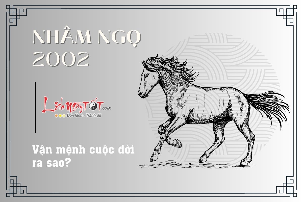 Vận mệnh tuổi Nhâm Ngọ 2002 Van menh tuoi Nham Ngo 2002