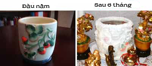 Vi sao nen dat mot bat nuoc muoi phong thuy dung ngay mung 1 Tet hinh anh 3