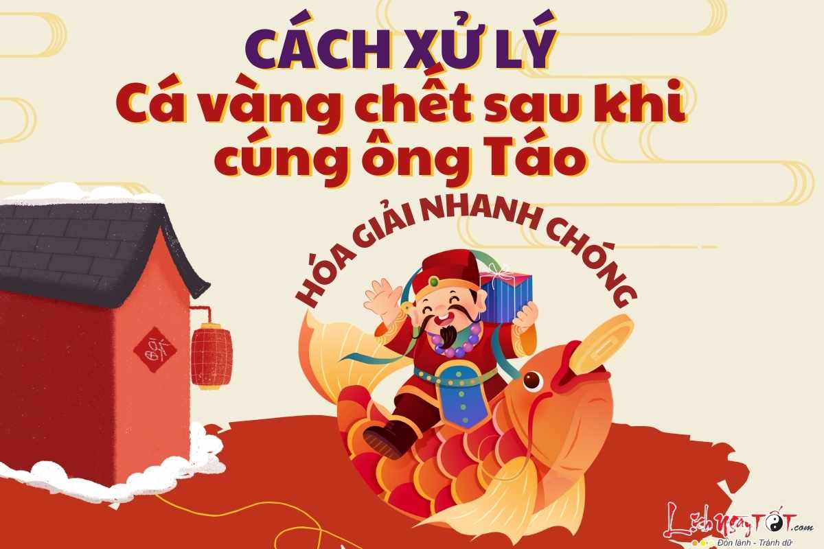 xử lý cá chết sau khi cúng ông Táo xu ly ca chet sau khi cung ong Tao