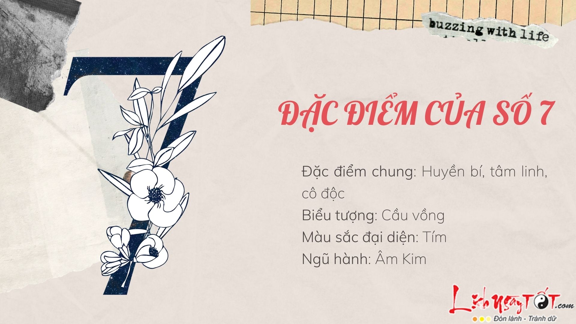 Dac diem Than so hoc So 7