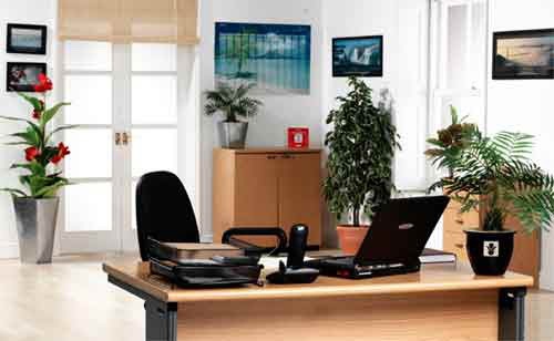 5 mẹo phong thủy thăng chức vù vù nhất định phải biết hình ảnh 5 meo phong thuy thang chuc vu vu nhat dinh phai biet hinh anh