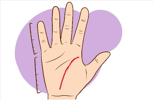 Bao giờ lấy chồng, xem bói chỉ tay là biết ngay hình ảnh Bao gio lay chong, xem boi chi tay la biet ngay hinh anh