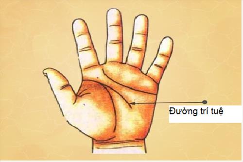 Bao giờ lấy chồng, xem bói chỉ tay là biết ngay hình ảnh Bao gio lay chong, xem boi chi tay la biet ngay hinh anh