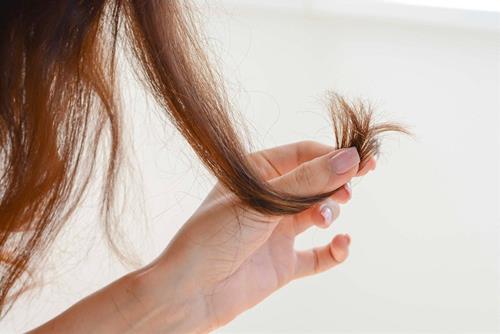 Bất cứ vật gì được cột kèm tóc Bat cu vat gi duoc cot kem toc