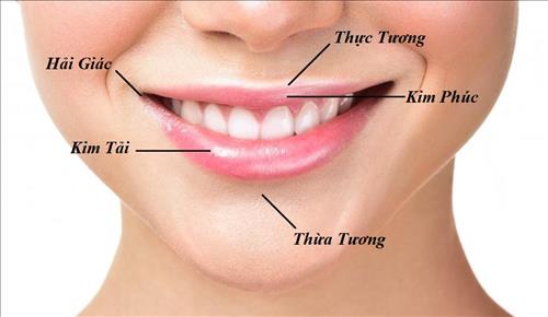 cac bo vi cua mieng co may bo phan 1 cac bo vi cua mieng co may bo phan 1
