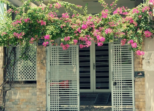 Cách hóa giải lỗi phong thủy đường đâm thẳng vào nhà Cach hoa giai loi phong thuy duong dam thang vao nha