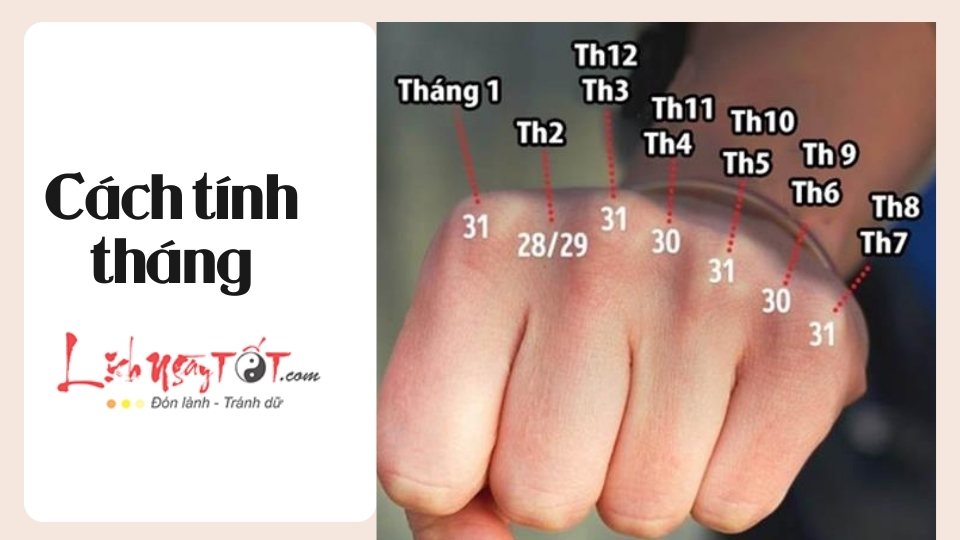 Cách tính tháng trên bàn tay Cach tinh thang tren ban tay