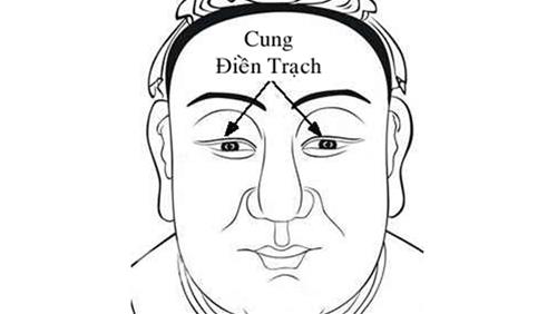 Cung điền trạch rộng Cung dien trach rong
