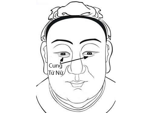 Cung Tử Nữ trong 12 cung tướng mặt hình ảnh Cung Tu Nu trong 12 cung tuong mat hinh anh