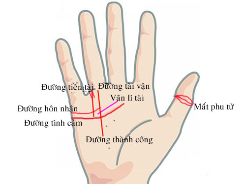 Dấu hiệu bàn tay của quý cô có hôn nhân viên mãn hình ảnh Dau hieu ban tay cua quy co co hon nhan vien man hinh anh