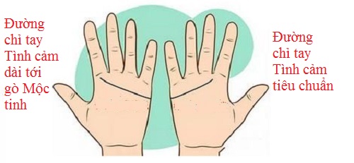 Đối chiếu đường chỉ tay Tình cảm để biết tình yêu của 2 bạn hình ảnh gốc 2 Doi chieu duong chi tay Tinh cam de biet tinh yeu cua 2 ban hinh anh goc 2