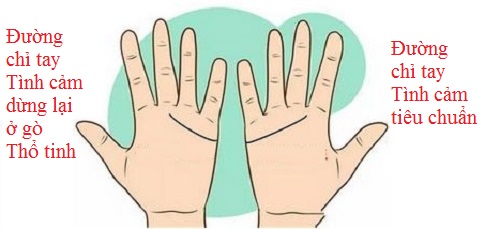 Đối chiếu đường chỉ tay Tình cảm để biết tình yêu của 2 bạn hình ảnh gốc 3 Doi chieu duong chi tay Tinh cam de biet tinh yeu cua 2 ban hinh anh goc 3