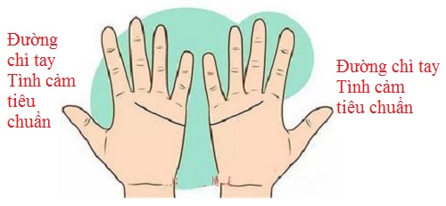 Đối chiếu đường chỉ tay Tình cảm để biết tình yêu của 2 bạn hình ảnh gốc Doi chieu duong chi tay Tinh cam de biet tinh yeu cua 2 ban hinh anh goc