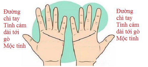Đối chiếu đường chỉ tay Tình cảm để biết tình yêu của 2 bạn hình ảnh Doi chieu duong chi tay Tinh cam de biet tinh yeu cua 2 ban hinh anh