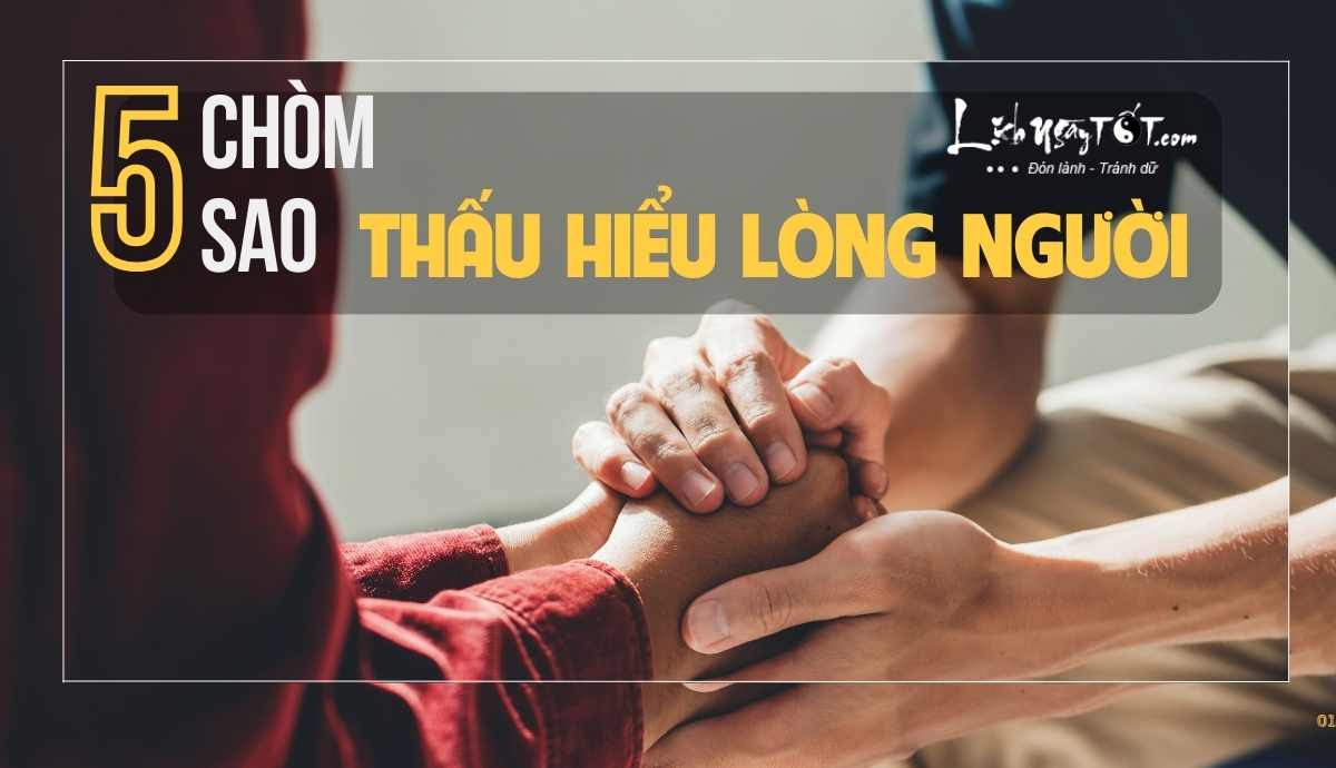 Top 5 chom sao hieu thau long nguoi de dang