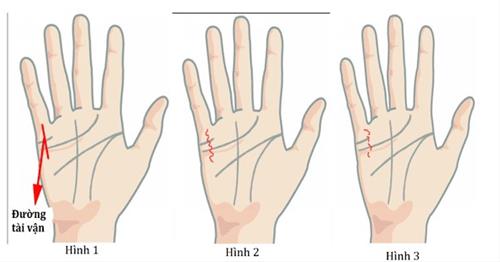 Đường chỉ tay phụ nữ giàu có là như thế nào? Duong chi tay phu nu giau co la nhu the nao?