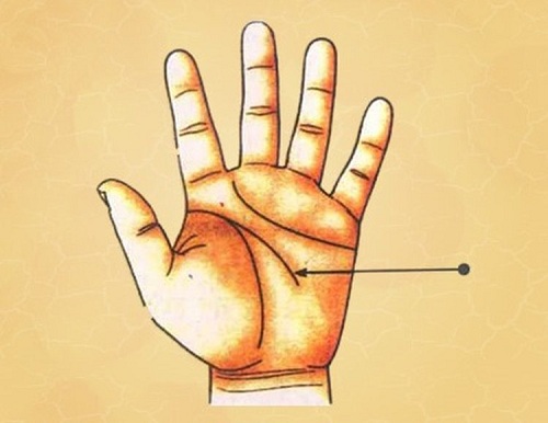 Đường trí tuệ dài đến ngón vô danh Duong tri tue dai den ngon vo danh