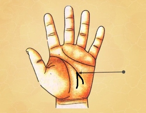 Đường trí tuệ rẽ nhánh Duong tri tue re nhanh