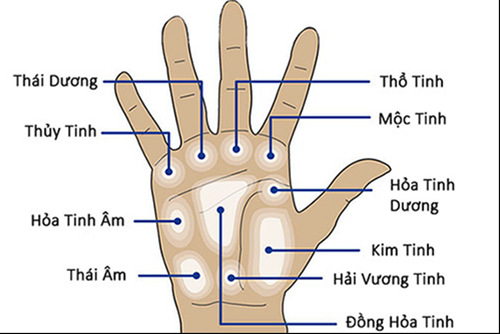 Xem tướng tay phụ nữ giỏi Xem tuong tay phu nu gioi