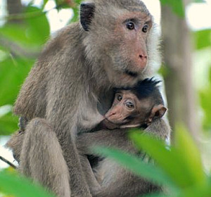 image_32548_khi2
