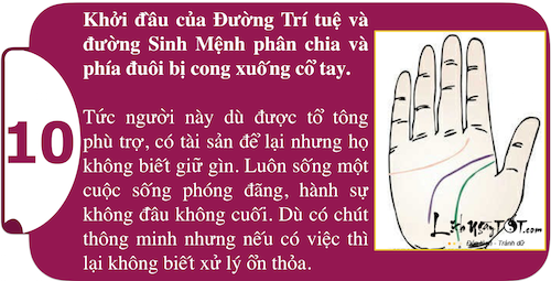 Khám phá sức mạnh cá tính ngay trong lòng bàn tay P1 hình ảnh gốc 10 Kham pha suc manh ca tinh ngay trong long ban tay P1 hinh anh goc 10