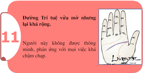 Khám phá sức mạnh cá tính ngay trong lòng bàn tay P1 hình ảnh gốc 11 Kham pha suc manh ca tinh ngay trong long ban tay P1 hinh anh goc 11