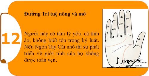 Khám phá sức mạnh cá tính ngay trong lòng bàn tay P1 hình ảnh gốc 12 Kham pha suc manh ca tinh ngay trong long ban tay P1 hinh anh goc 12