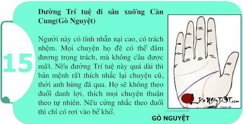 Khám phá sức mạnh cá tính ngay trong lòng bàn tay P1 hình ảnh gốc 15 Kham pha suc manh ca tinh ngay trong long ban tay P1 hinh anh goc 15
