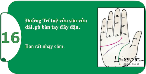 Khám phá sức mạnh cá tính ngay trong lòng bàn tay P1 hình ảnh gốc 16 Kham pha suc manh ca tinh ngay trong long ban tay P1 hinh anh goc 16