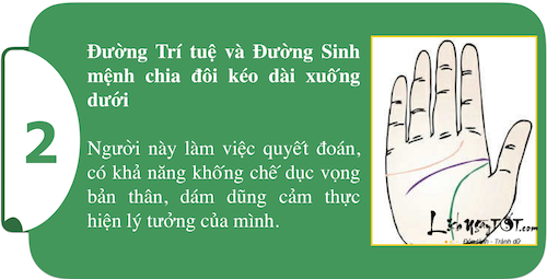 Khám phá sức mạnh cá tính ngay trong lòng bàn tay P1 hình ảnh gốc 2 Kham pha suc manh ca tinh ngay trong long ban tay P1 hinh anh goc 2