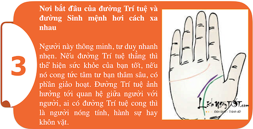 Khám phá sức mạnh cá tính ngay trong lòng bàn tay P1 hình ảnh gốc 3 Kham pha suc manh ca tinh ngay trong long ban tay P1 hinh anh goc 3