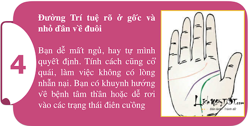 Khám phá sức mạnh cá tính ngay trong lòng bàn tay P1 hình ảnh gốc 4 Kham pha suc manh ca tinh ngay trong long ban tay P1 hinh anh goc 4